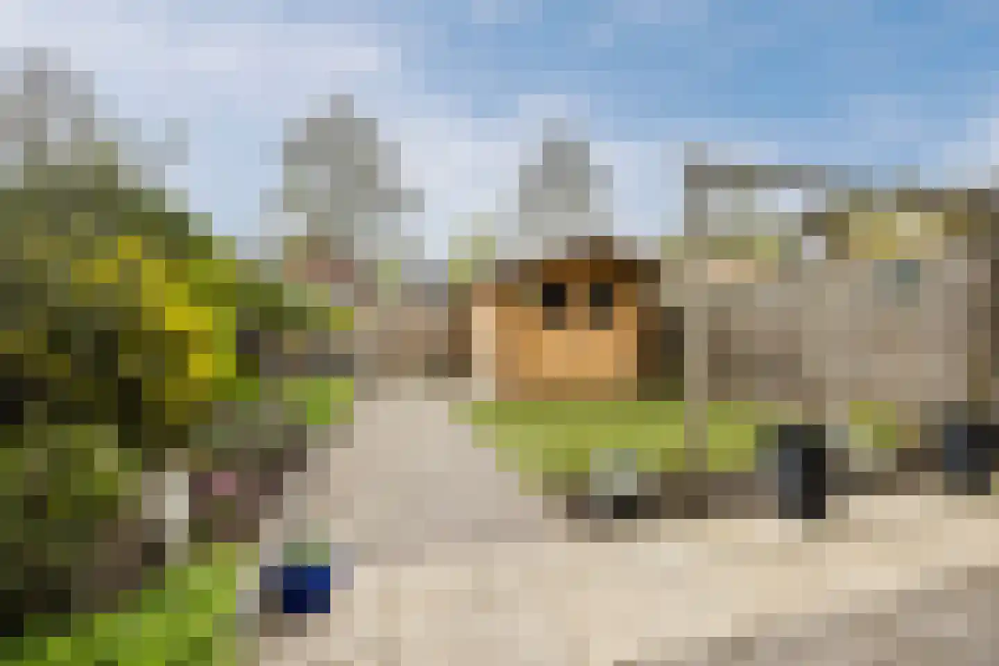 de Lariks 7 Bergschenhoek thumbnail 28