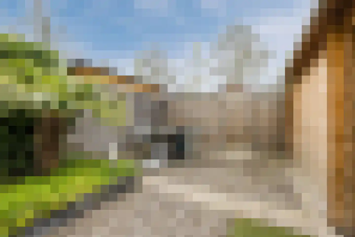 de Lariks 7 Bergschenhoek thumbnail 29