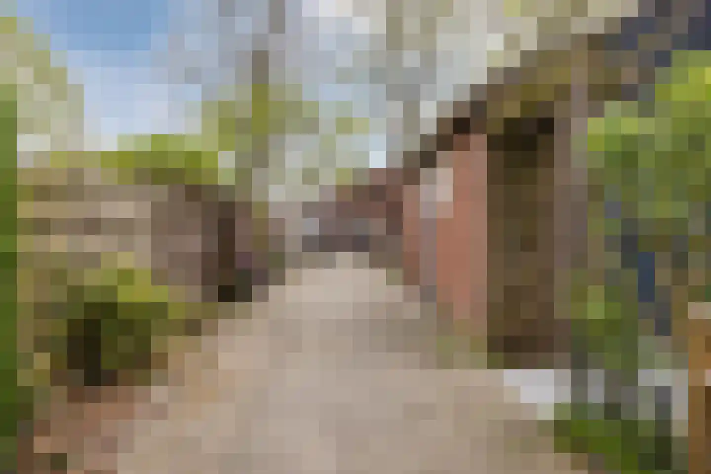 de Lariks 7 Bergschenhoek thumbnail 34