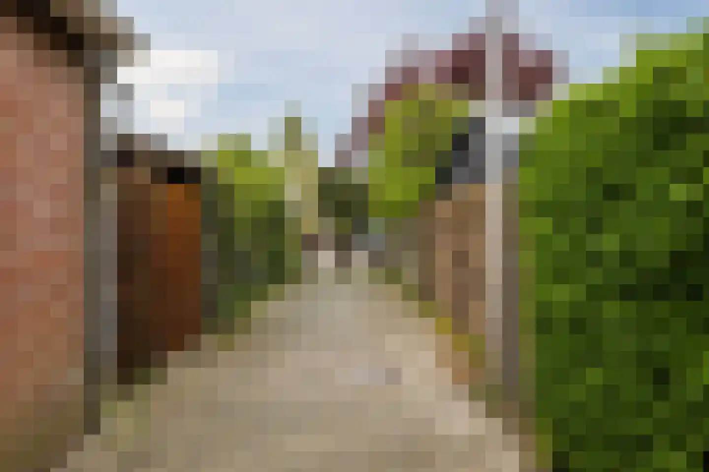de Lariks 7 Bergschenhoek thumbnail 35