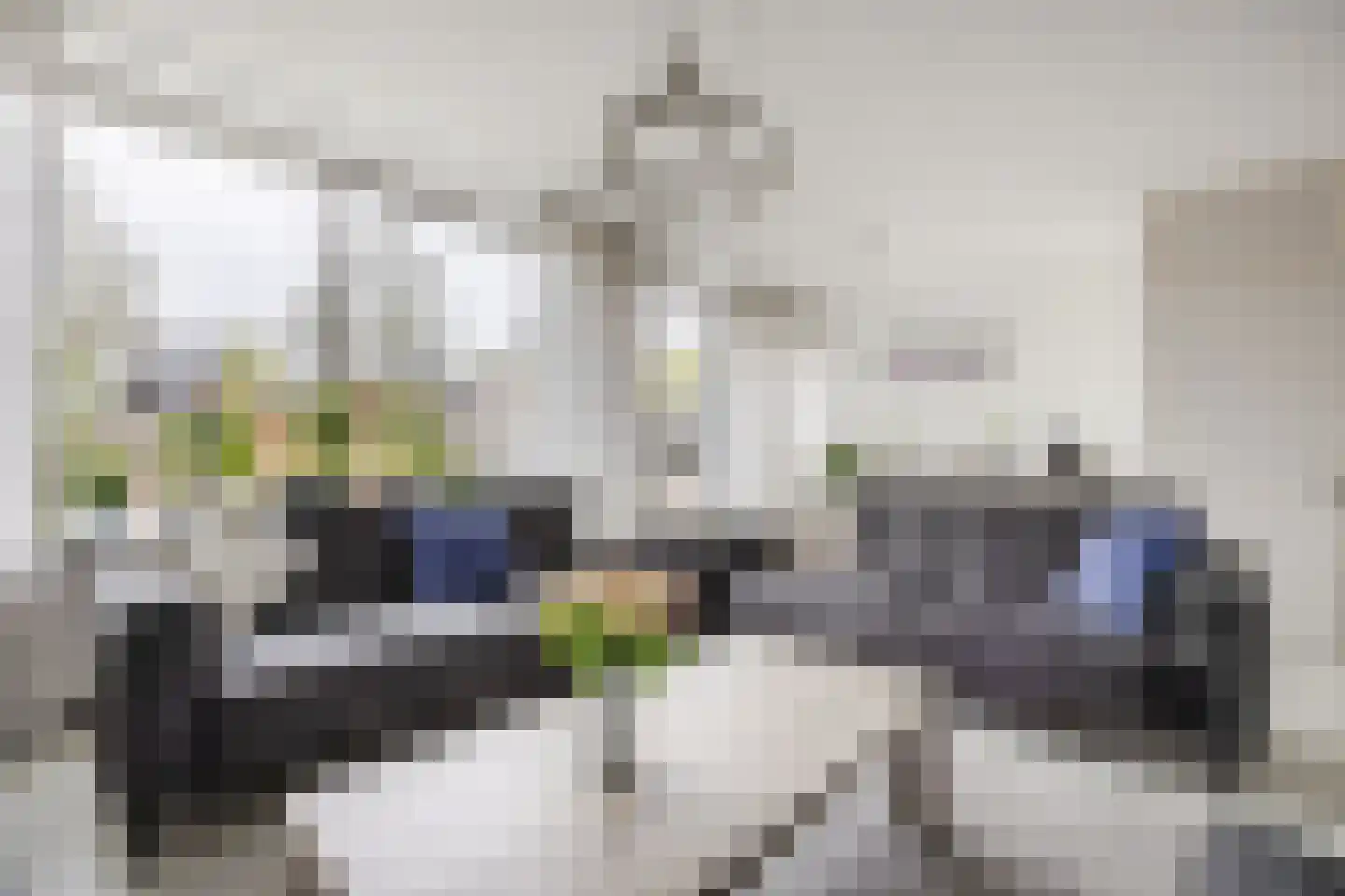 de Lariks 7 Bergschenhoek thumbnail 4