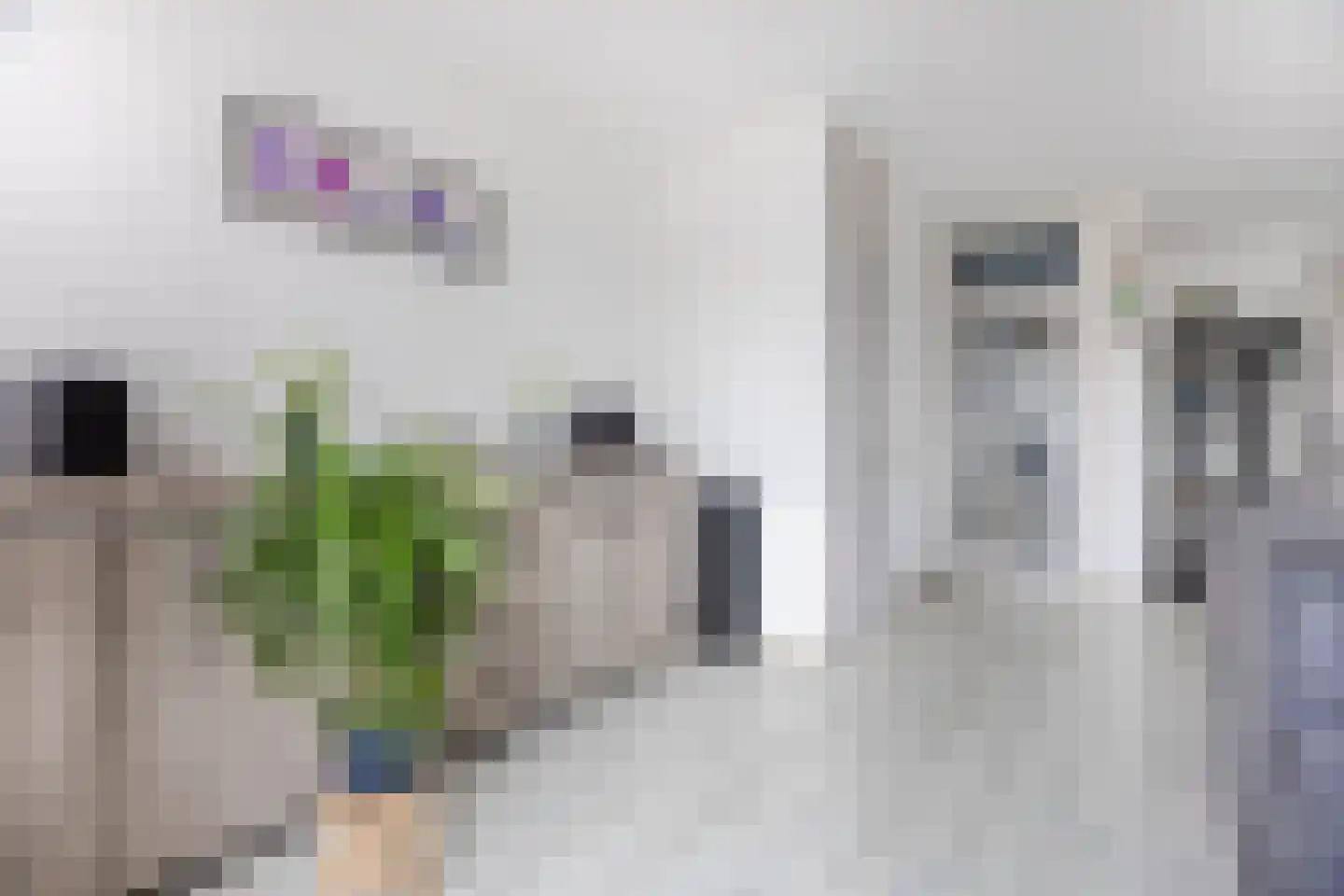de Lariks 7 Bergschenhoek thumbnail 6