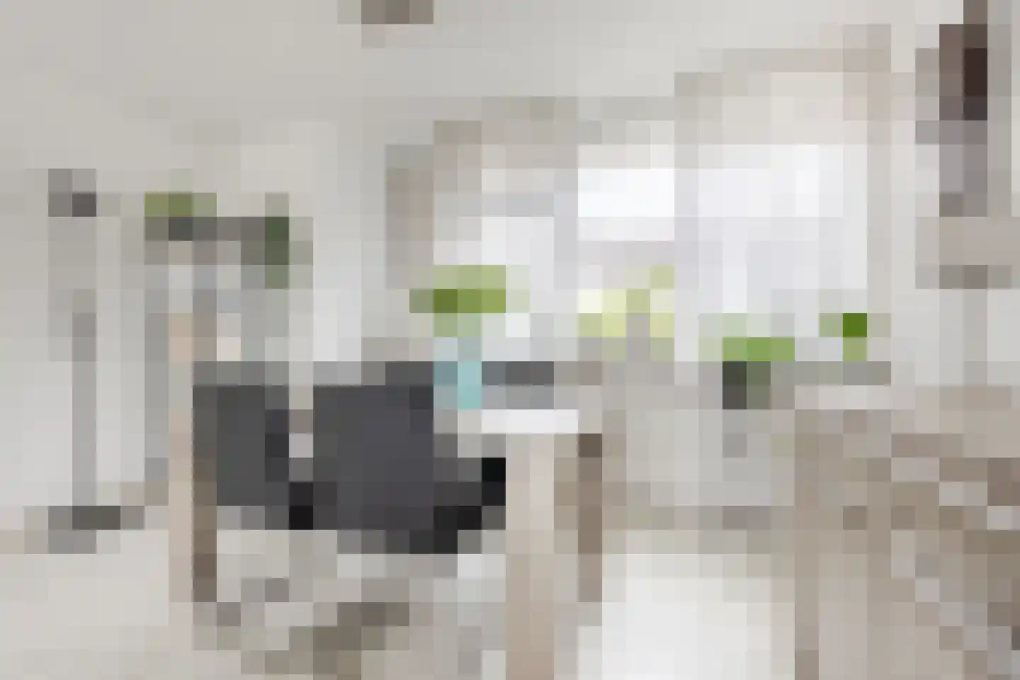 de Lariks 7 Bergschenhoek thumbnail 9