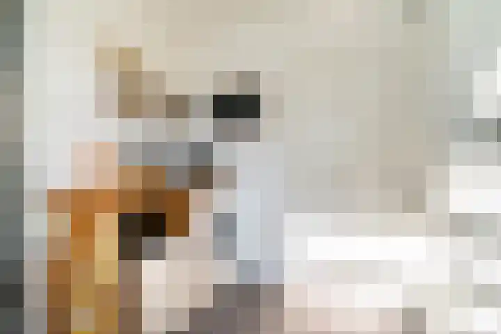 De Larinck 4 Den Ham thumbnail 11