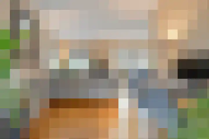 De Larinck 4 Den Ham thumbnail 14