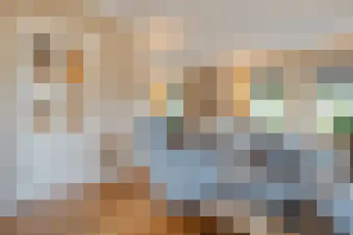 De Larinck 4 Den Ham thumbnail 17