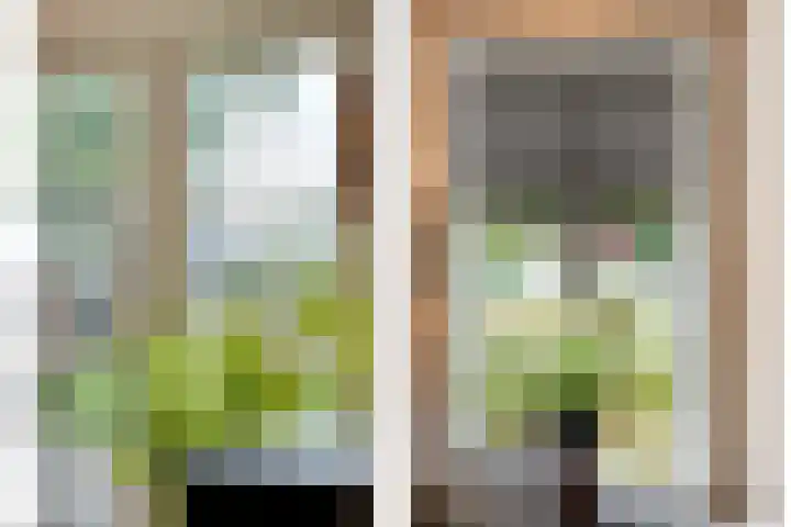 De Larinck 4 Den Ham thumbnail 18