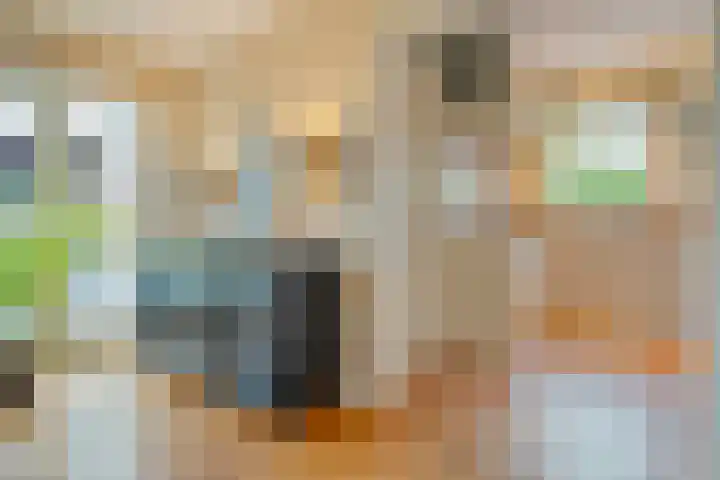 De Larinck 4 Den Ham thumbnail 19