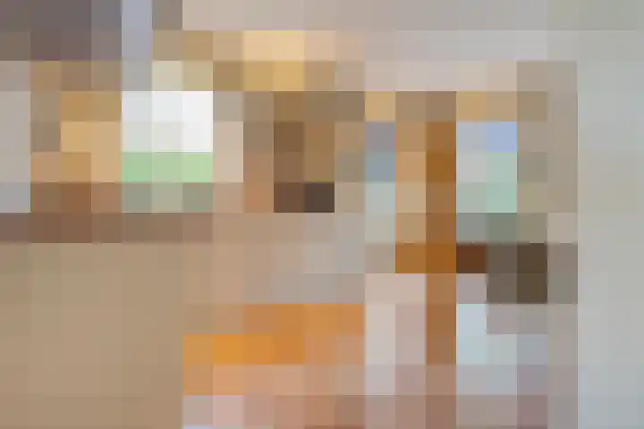 De Larinck 4 Den Ham thumbnail 20