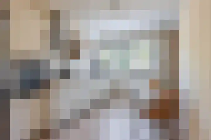 De Larinck 4 Den Ham thumbnail 26
