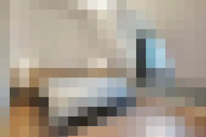 De Larinck 4 Den Ham thumbnail 27