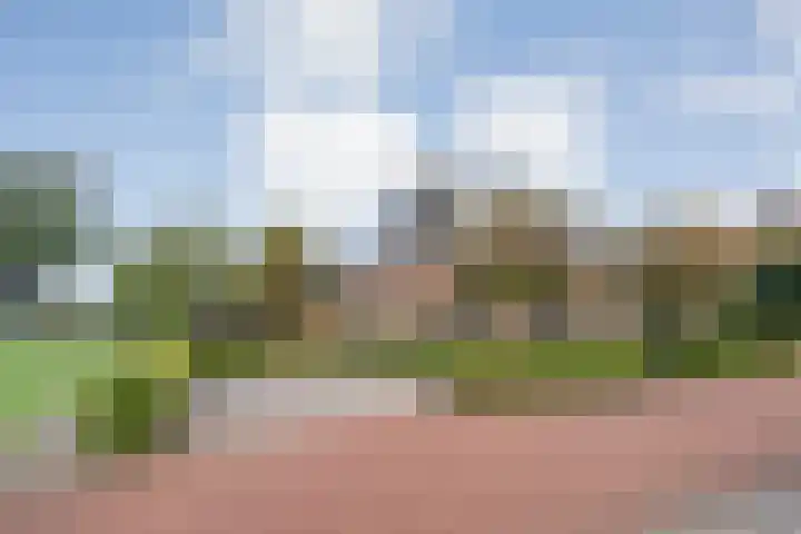 De Larinck 4 Den Ham foto 3