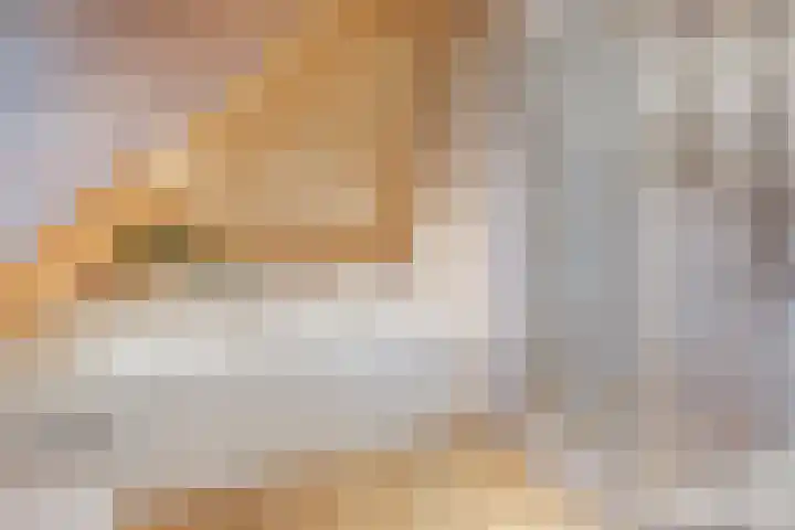 De Larinck 4 Den Ham thumbnail 31
