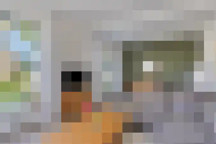 De Larinck 4 Den Ham thumbnail 36