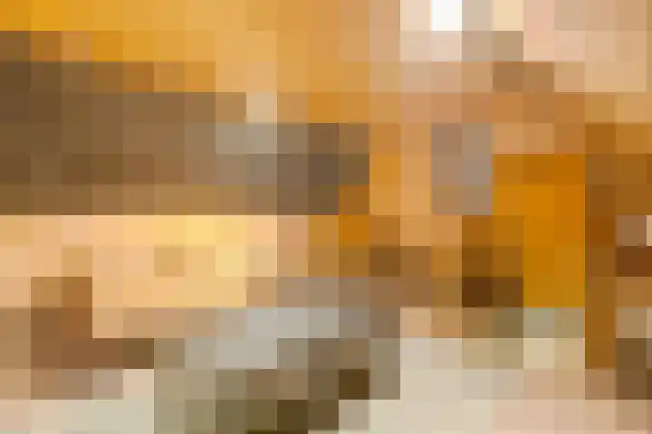 De Larinck 4 Den Ham thumbnail 37
