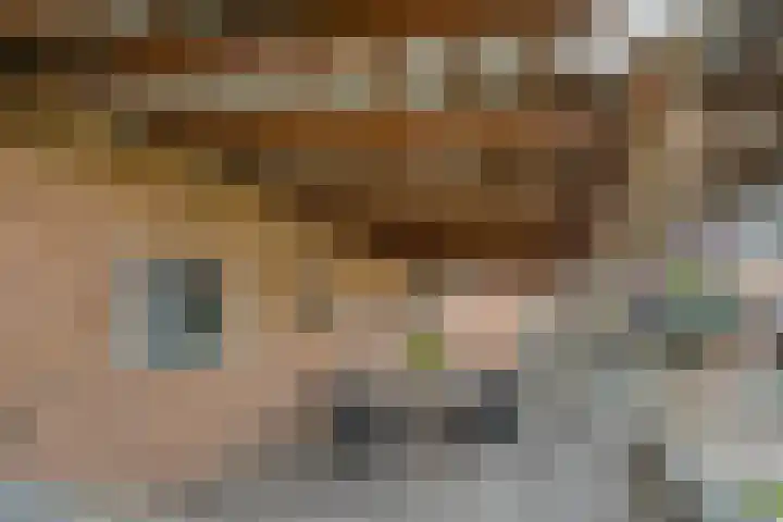 De Larinck 4 Den Ham thumbnail 47