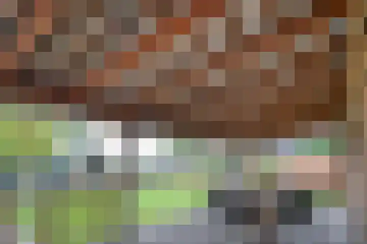 De Larinck 4 Den Ham thumbnail 48