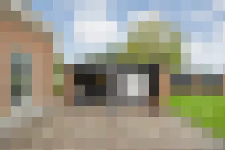 De Larinck 4 Den Ham thumbnail 49