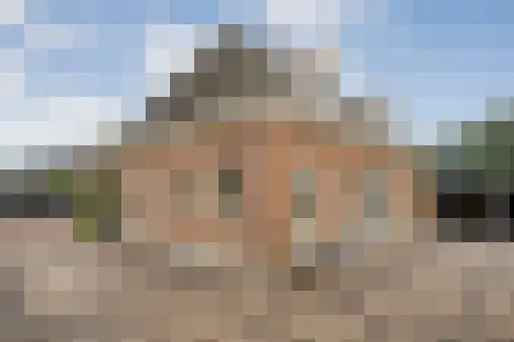 De Larinck 4 Den Ham thumbnail 50