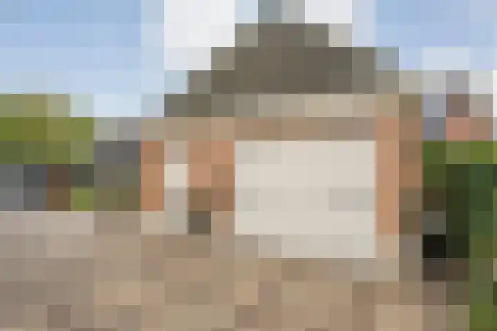 De Larinck 4 Den Ham thumbnail 51