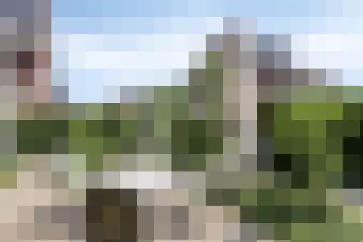 De Larinck 4 Den Ham thumbnail 52