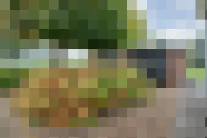 De Larinck 4 Den Ham thumbnail 53