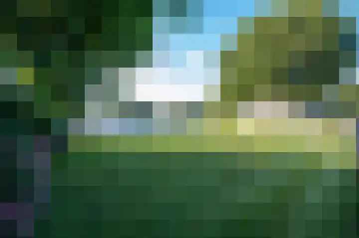 De Larinck 4 Den Ham thumbnail 6