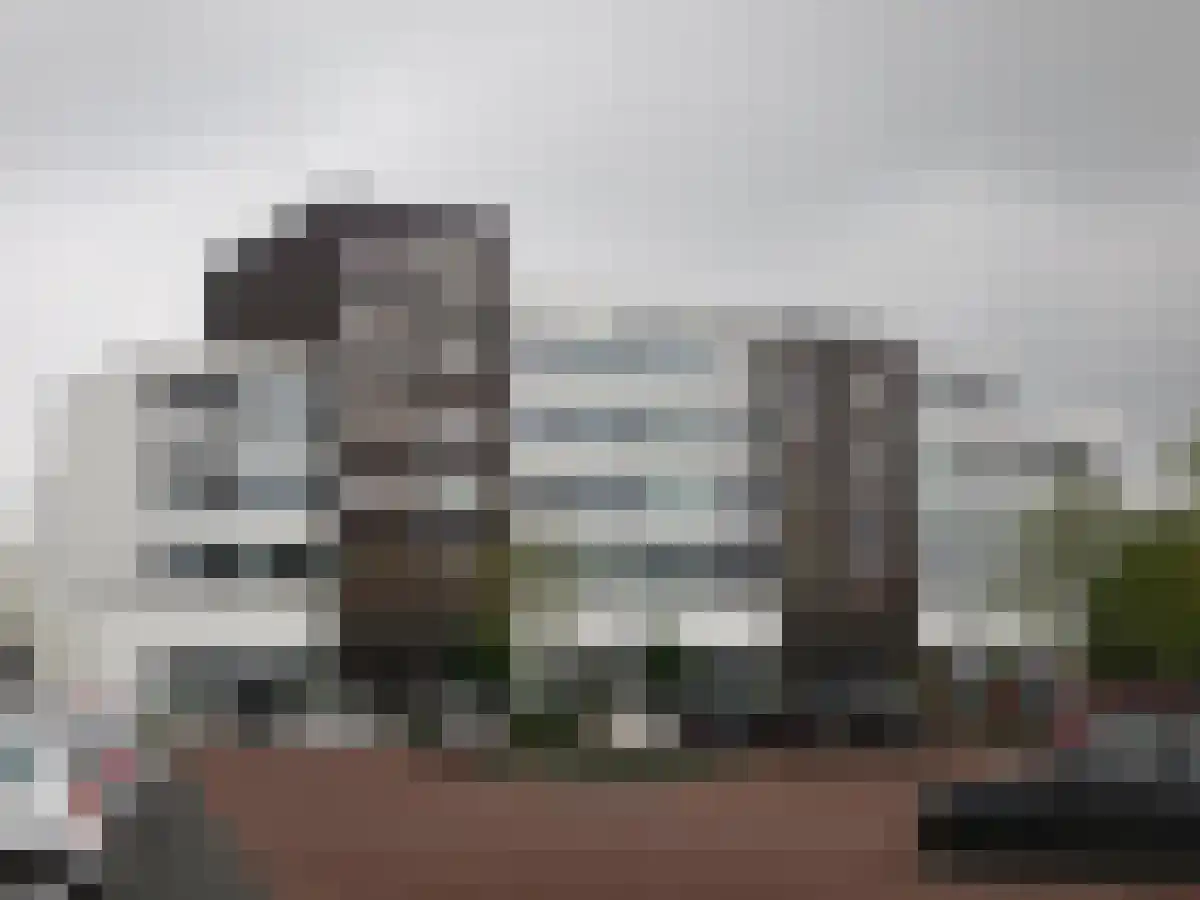 De Larinck 4 Den Ham thumbnail 64