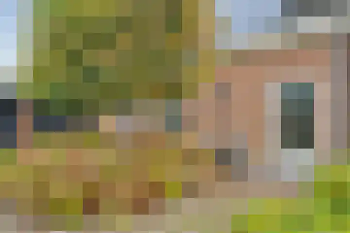 De Larinck 4 Den Ham thumbnail 7