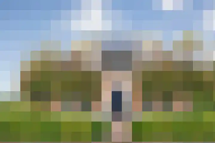 De Larinck 4 Den Ham thumbnail 8