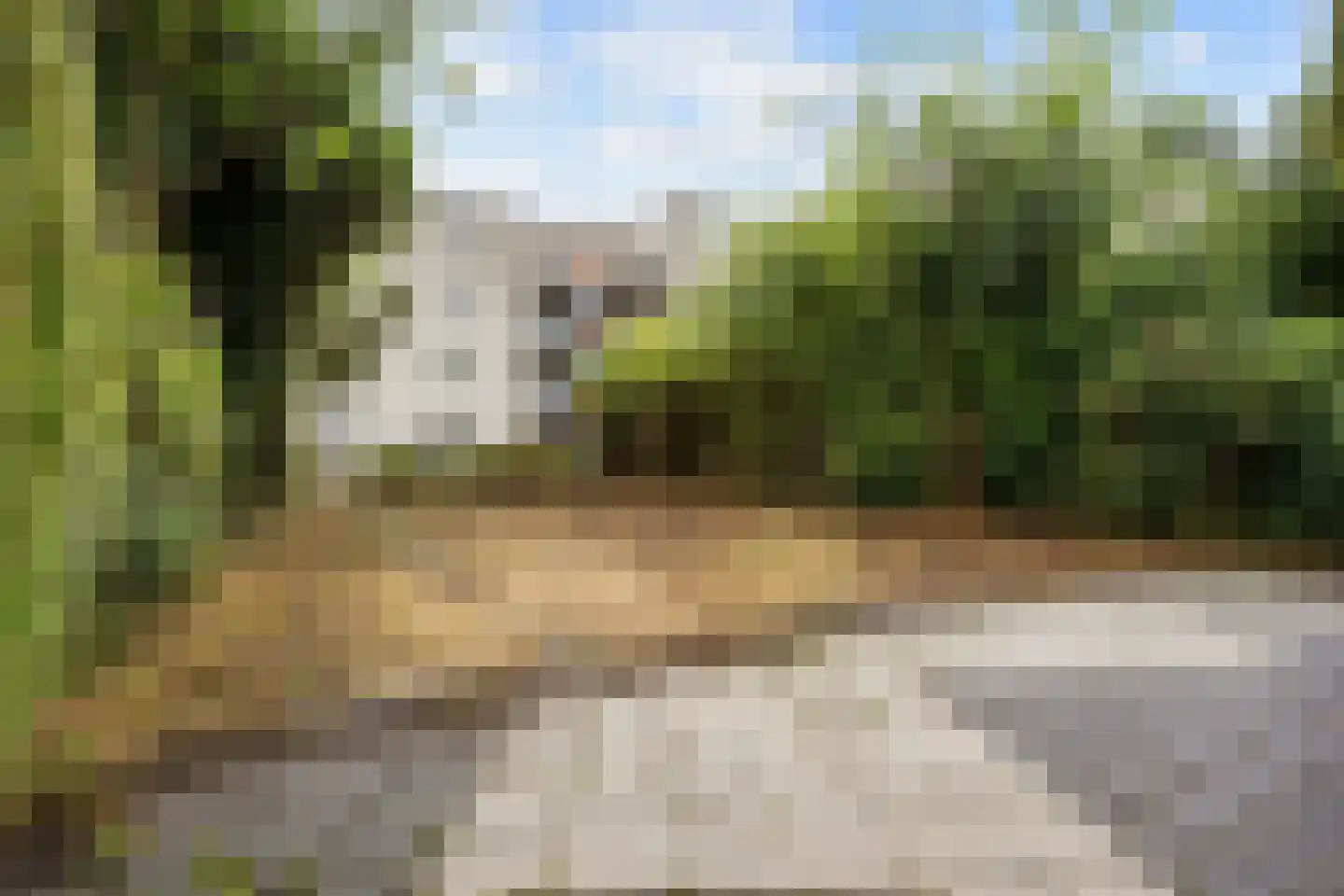 De Larix 12 Groningen thumbnail 27