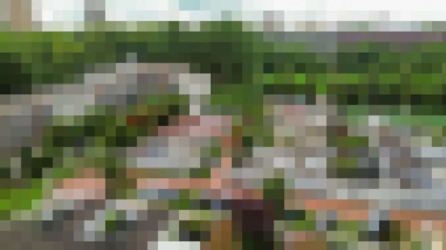 De Larix 12 Groningen thumbnail 4