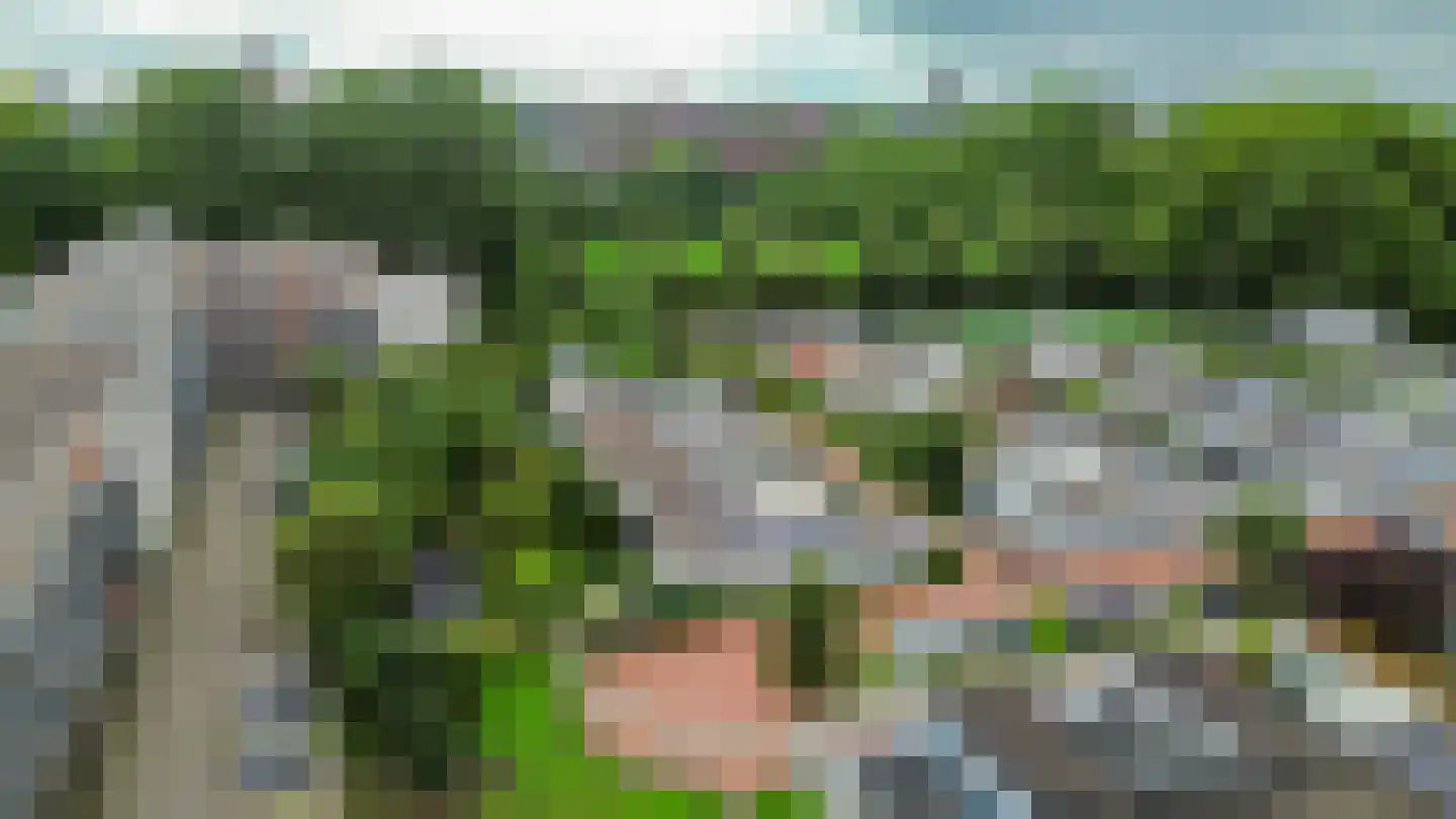 De Larix 12 Groningen thumbnail 5