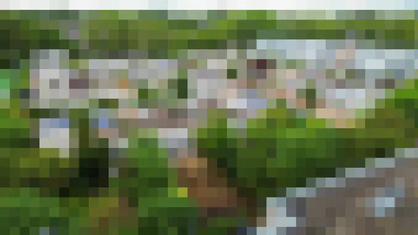 De Larix 12 Groningen thumbnail 6