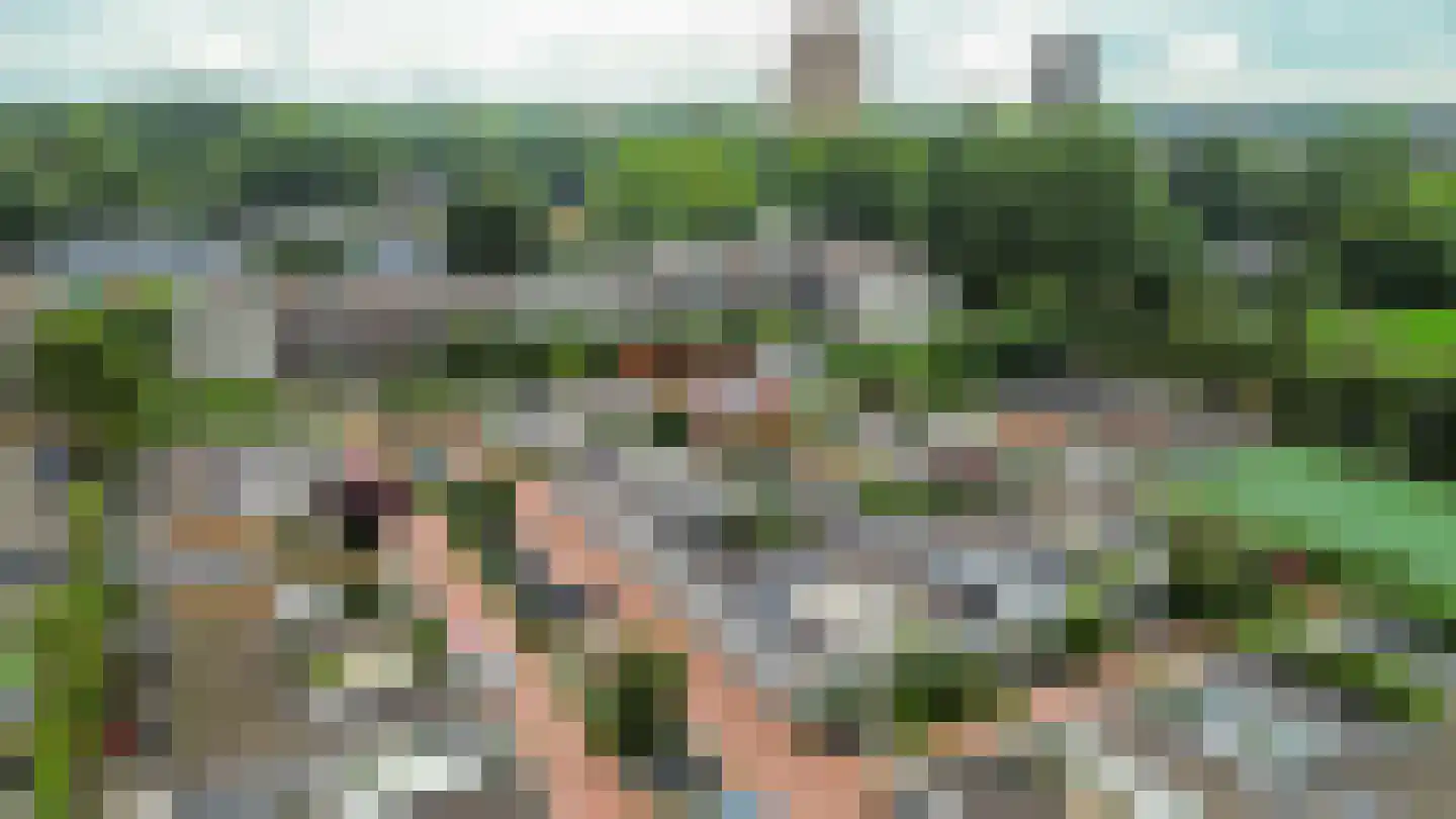 De Larix 12 Groningen thumbnail 9