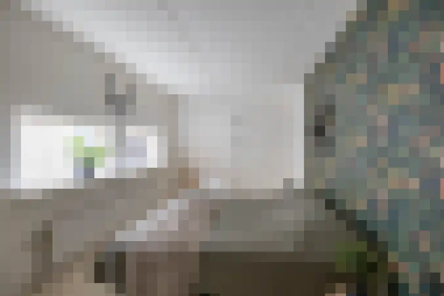 De Larix 4 Groningen thumbnail 18