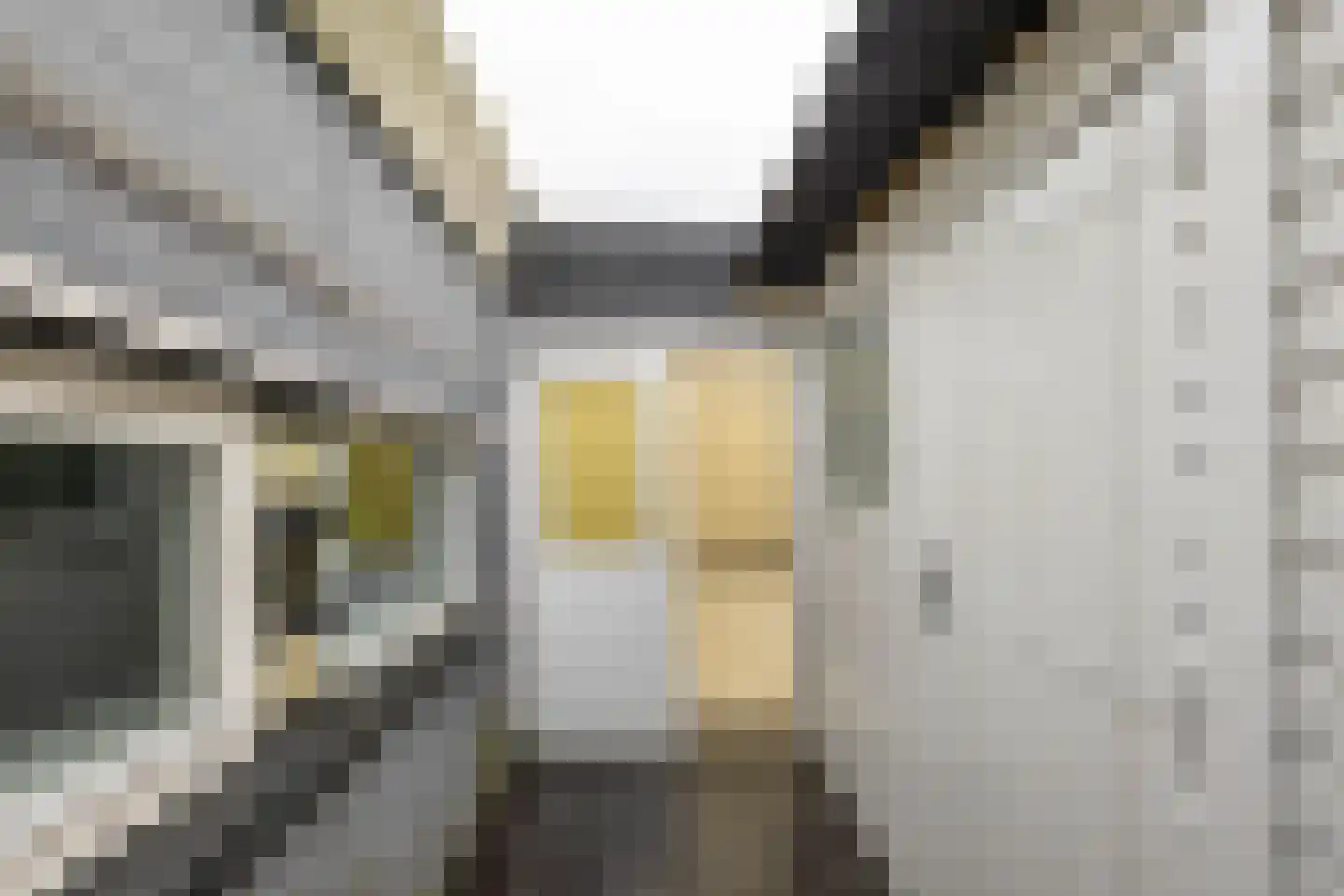 De Larix 4 Groningen thumbnail 27