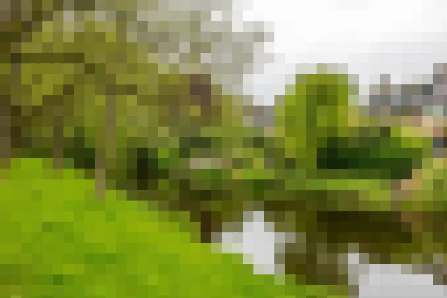 De Larix 4 Groningen thumbnail 29
