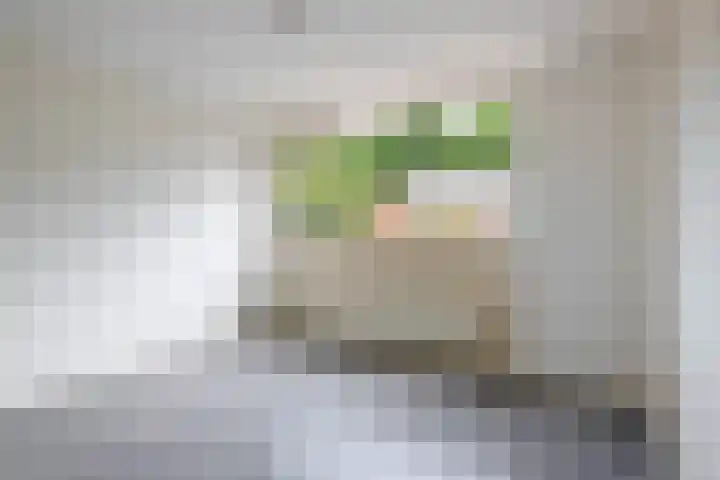 De Larix 47 Bussum thumbnail 21