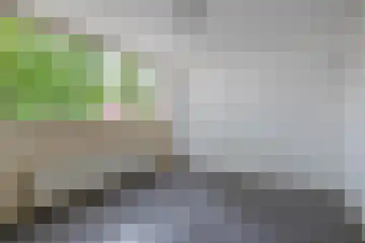 De Larix 47 Bussum thumbnail 23