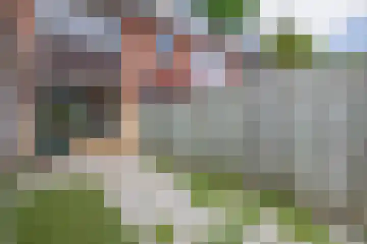 De Larix 47 Bussum thumbnail 27