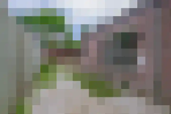 De Larix 47 Bussum thumbnail 28