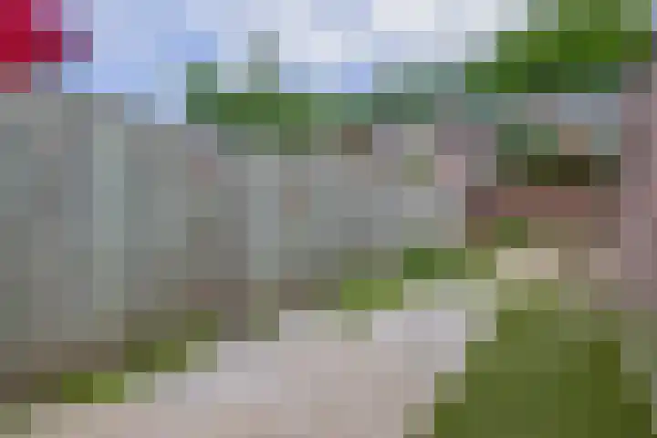De Larix 47 Bussum thumbnail 29