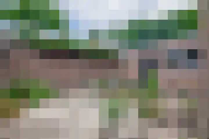 De Larix 47 Bussum thumbnail 30