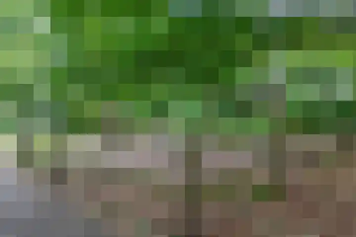 De Larix 47 Bussum thumbnail 32