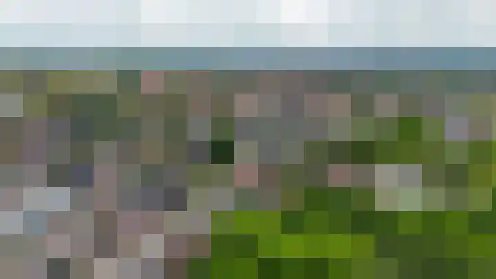 De Larix 47 Bussum thumbnail 33