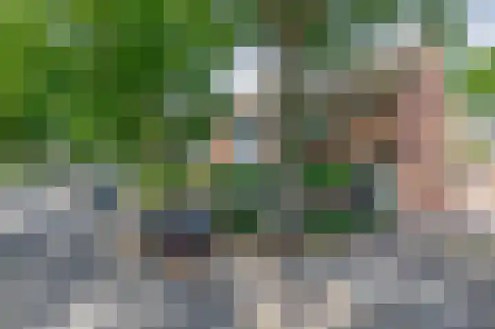 De Larix 47 Bussum thumbnail 4