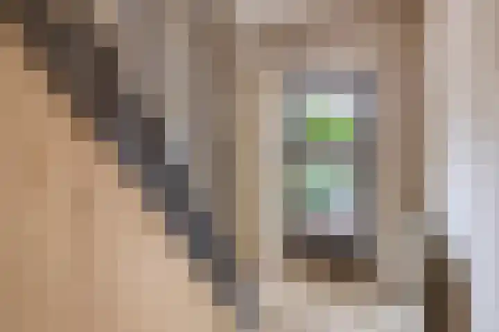 De Larix 47 Bussum thumbnail 6