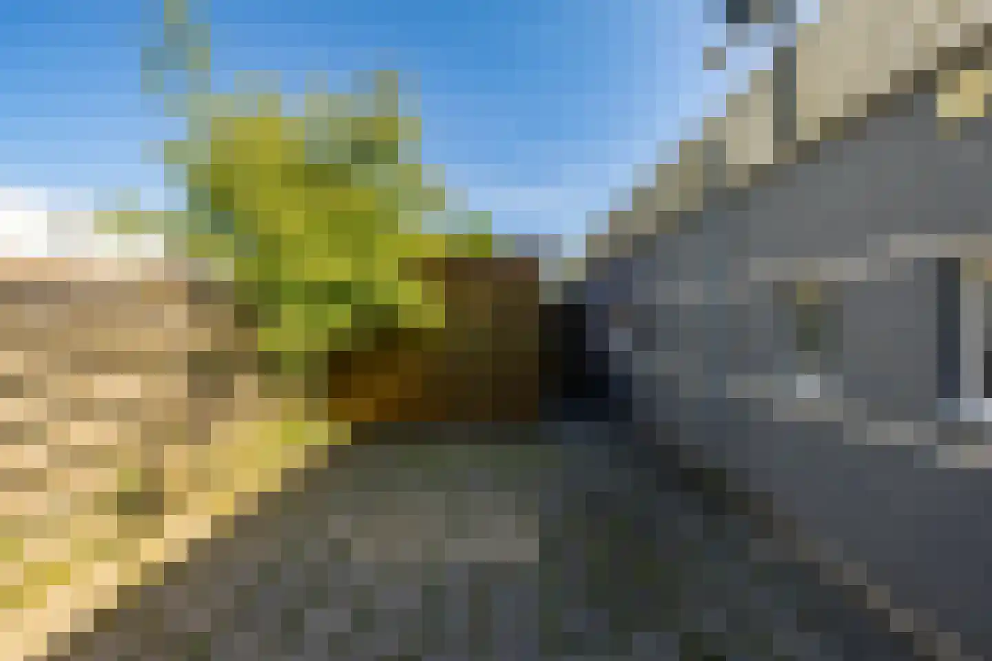 De Larix 5 Groningen thumbnail 24