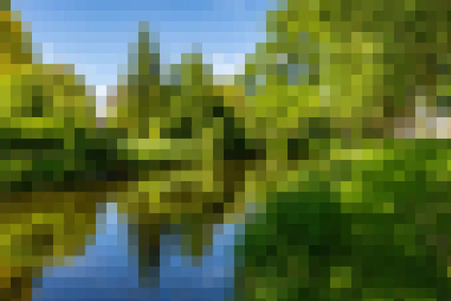 De Larix 5 Groningen thumbnail 28